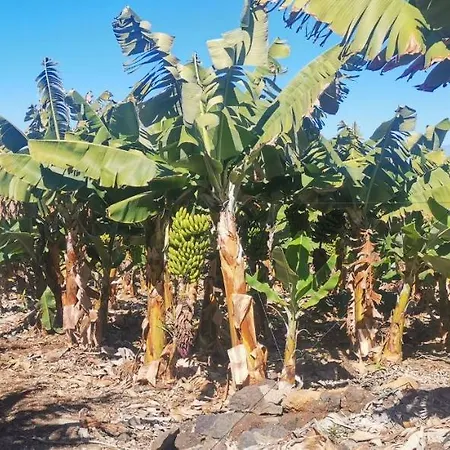 דירה Bucare, Finca Jardin Del Rincon Barreto *