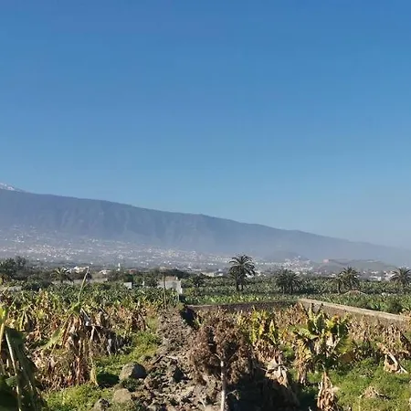 דירה Bucare, Finca Jardin Del Rincon Barreto El Rincon (Tenerife)