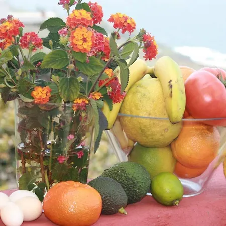 Bucare, Finca Jardin Del Rincon Barreto Lejlighed